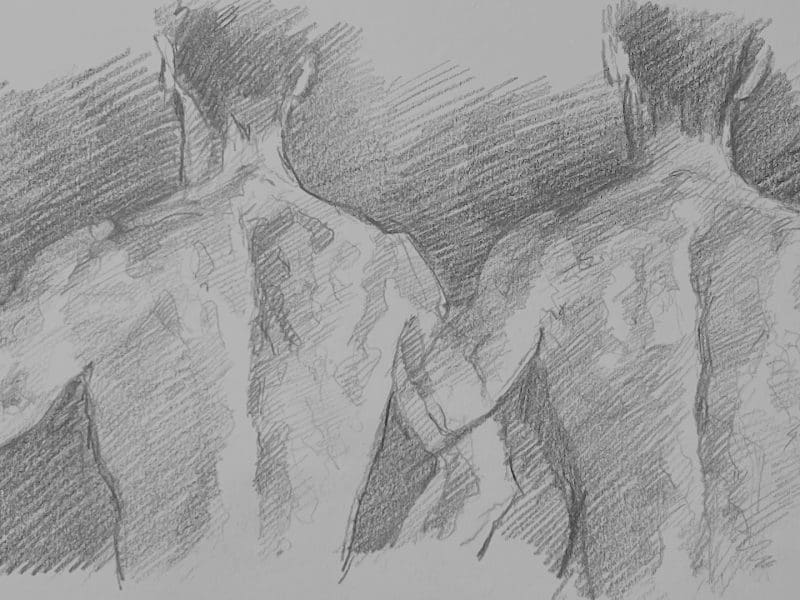 Backs for Anatomy