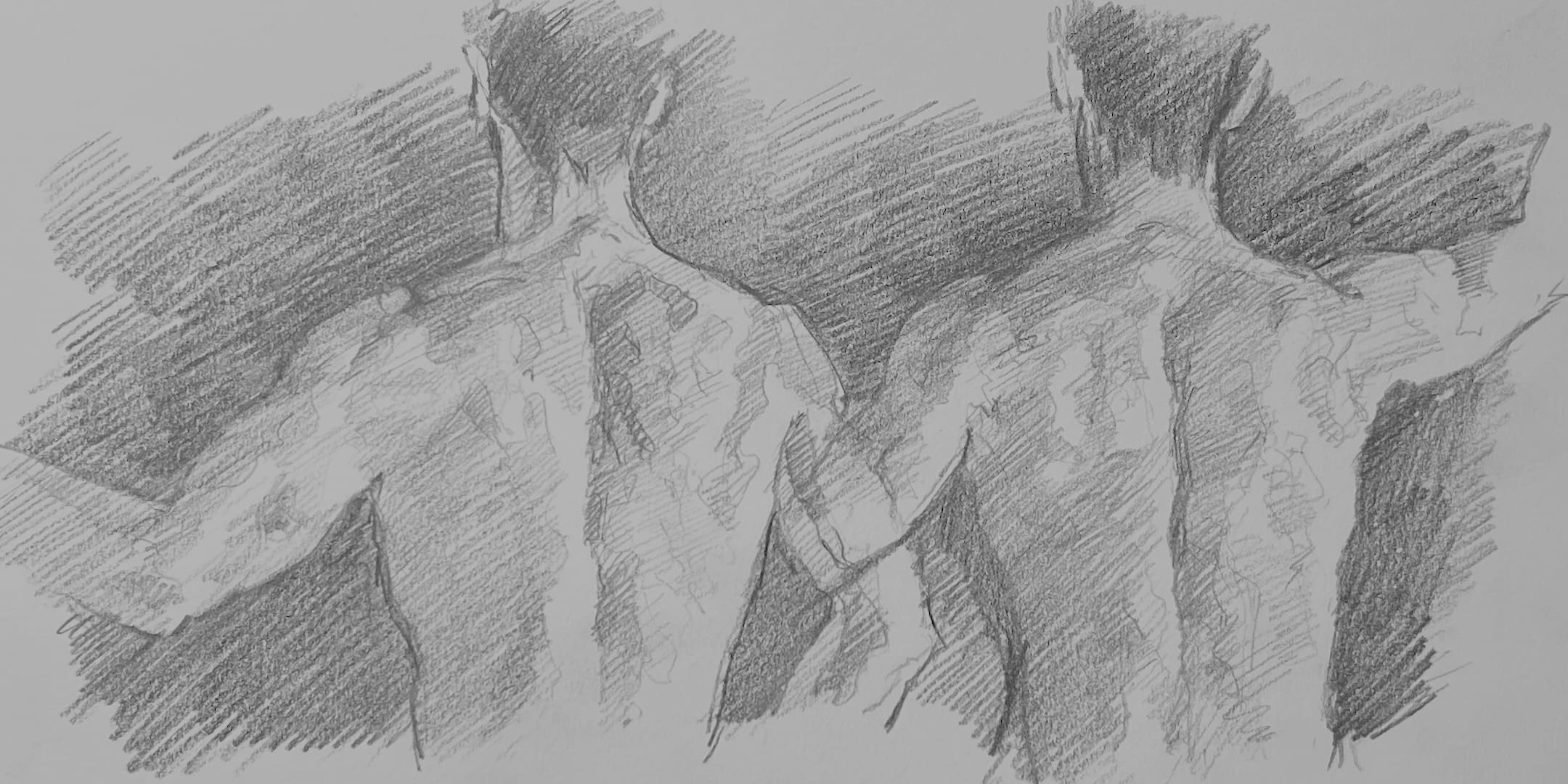 Backs for Anatomy